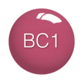 SNS Dip Powder – Bridal Collection - BC01