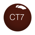 SNS Dip Powder – Cleopatra Collection - CT07