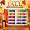 HANG Premium Fall Collection - 97 - 144