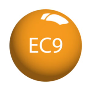 SNS Dip Powder – Easter Collection - EC09