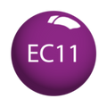SNS Dip Powder – Easter Collection - EC11