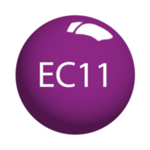 SNS Dip Powder – Easter Collection - EC11