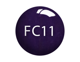 SNS Dip Powder – Fairytale Collection - FC11