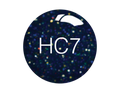 SNS Dip Powder – Holiday Collection - HC07