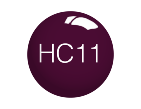 SNS Dip Powder – Holiday Collection - HC11