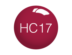 SNS Dip Powder – Holiday Collection - HC17