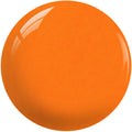SNS Dip Powder – C'est La Vie Collection - LV02