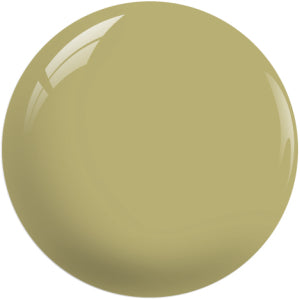 SNS Dip Powder – Summer Collection - SC05